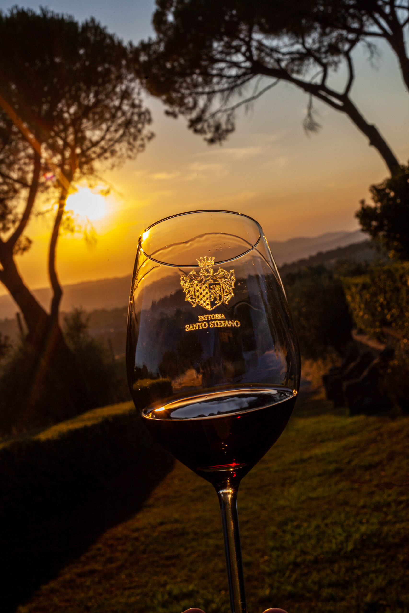 Tramonto a Fattoria Santo Stefano - Greve in Chianti